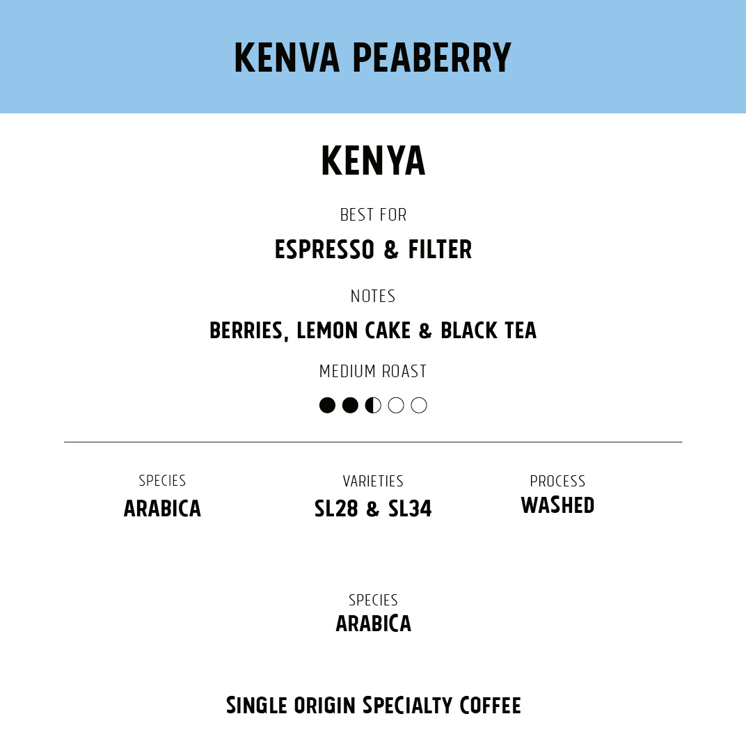 Kenya Peaberry