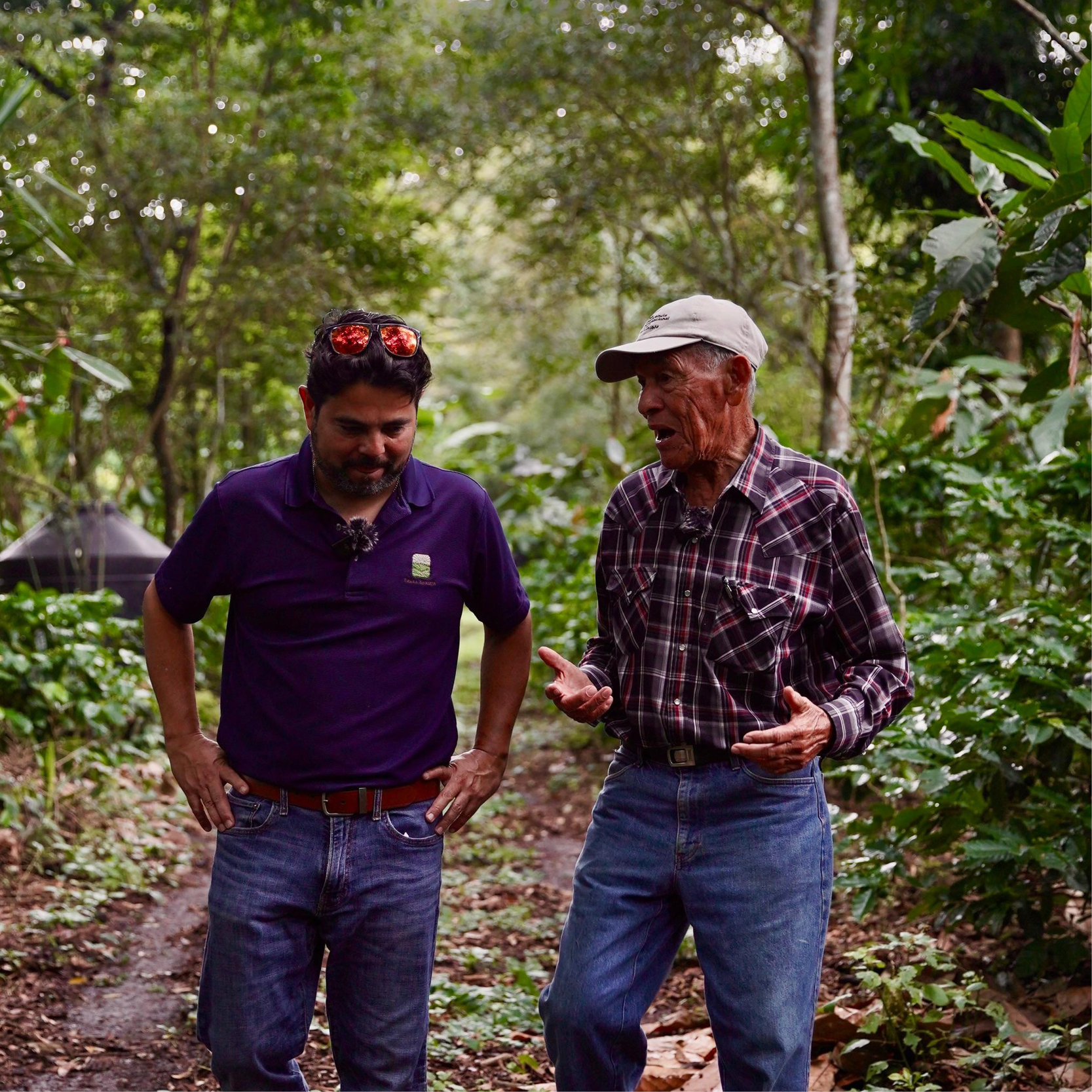 Tierra Bendita Pacamara